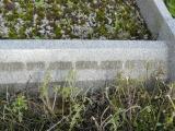 image of grave number 206826